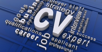 The CV Specialist